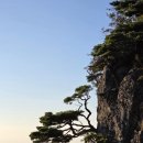 금호쉼터식당 | 9정맥16ㅣ금호남정맥졸업 26.2km(사로고개~주화산조약봉)