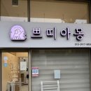 안양동애견미용 쁘띠아몽 애견미용실에서 귀여운 곰돌이컷 완성한 후기