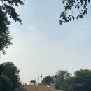 윤가 마루 이미지