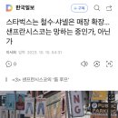 스타벅스는 철수·샤넬은 매장 확장...샌프란시스코는 망하는 중인가, 아닌가 이미지