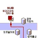 ◀ SDA 종합쇼설입문강습 ▶살사,바차타,메렝게,쇼셜차차(ON2) 4가지춤의 입문종합강습 모집 ! 이미지