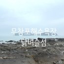 충남 보령 무창포해수욕장 닭벼슬섬 노상포차