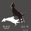 솔라이언 이미지