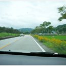 백암온천주유소 이미지