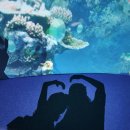 경희우진혁한의원 이미지