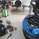 신탭