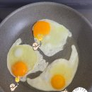 제암 | [좋은달걀찾기 여정2] 제암농장 난각번호 1번 유정란 후기 / 진한 주황빛 노른자를 찾아서..!