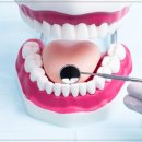 백세플란트치과의원 이미지