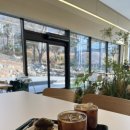 로로카페 이미지