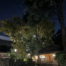 동호로 | 프릳츠 커피 장충ㅣ서울 신상 카페 내돈내산 후기ㅣ주차ㅣ메뉴 추천ㅣ원두 가격