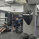 스트롱복싱 신정점 이미지