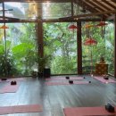 굿모닝요가 이미지