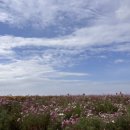 신화로(3-217) 이미지