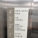 미소산부인과의원 | 30대 제주산전검사 (난소나이검사) 후기! 산부인과 추천 및 청구 방법