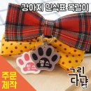 멍멍이발바닥 이미지