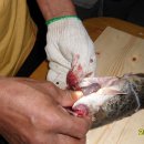 송광2차 이미지