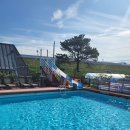 세모난나무2 이미지