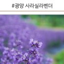 점동농장 이미지