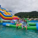 구지 아이비 태권도장 이미지