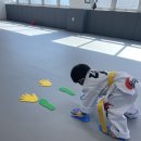 다오름태권도장 이미지