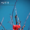 초 민박 이미지