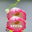 🍒 메디컬리제이션 이란 말을 들어보셨나요 이미지