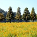 백일홍어린이공원 이미지