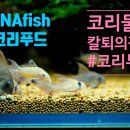 루나피쉬