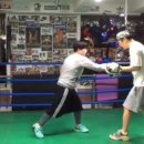 태경미트 이미지