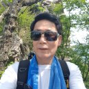 백화쉼터 이미지