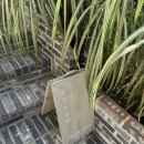 빌라드로이 이미지