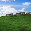 방울목장 이미지