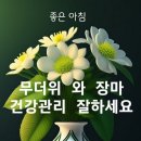 우리 인생 이렇게 살자 이미지