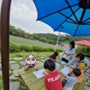 좌천초등학교병설유치원 이미지