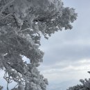 지에스(GS)25묵현쉼터점 | 경기 남양주 천마산 지하철 등산코스 눈꽃산행지 추천
