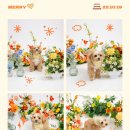 스튜디오루아스