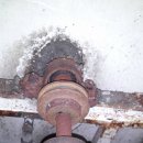 운동화 빠는날 이미지