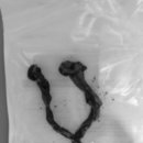 문정탑 동물병원 이미지