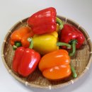 자연대로 이미지