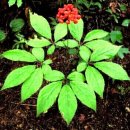 ◆ 인천 간석동 &#34;한신 더휴&#34; 아파트 일반분양 ◆ 이미지