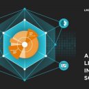 디지털사자 이미지