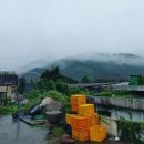 옛날팥죽 티스토리