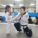 용인대한울태권도 이미지