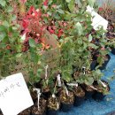 자농보카시영농조합법인 이미지