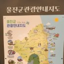 11545-08-00-47 | 성류굴-왕피천공원-망양정-은어다리-울진역. 3일