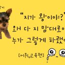 지·맘