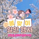 고창읍성패러글라이딩 이미지