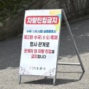 남해 용문사 수국 축제후기 | 경남 수국명소 개화현황, 주차정보 총정리