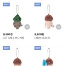 하시루 이미지