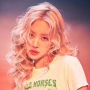 새롬미용실 이미지